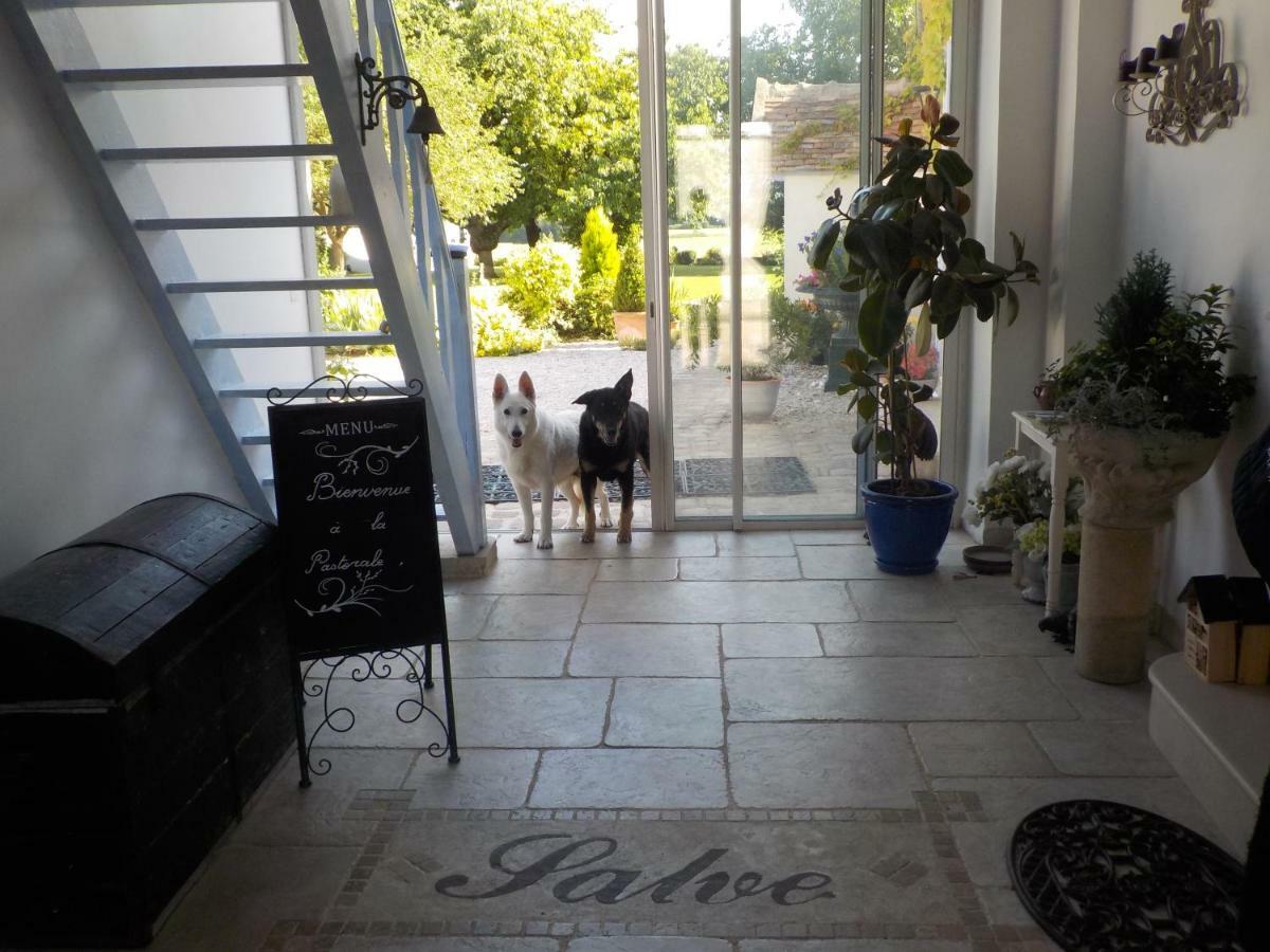 La Pastorale Bed & Breakfast Vinneuf Exterior foto